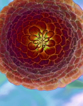 F 021B
